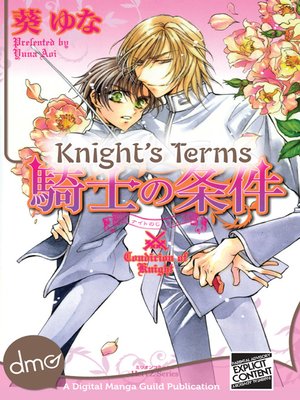 cover image of Knight's Terms